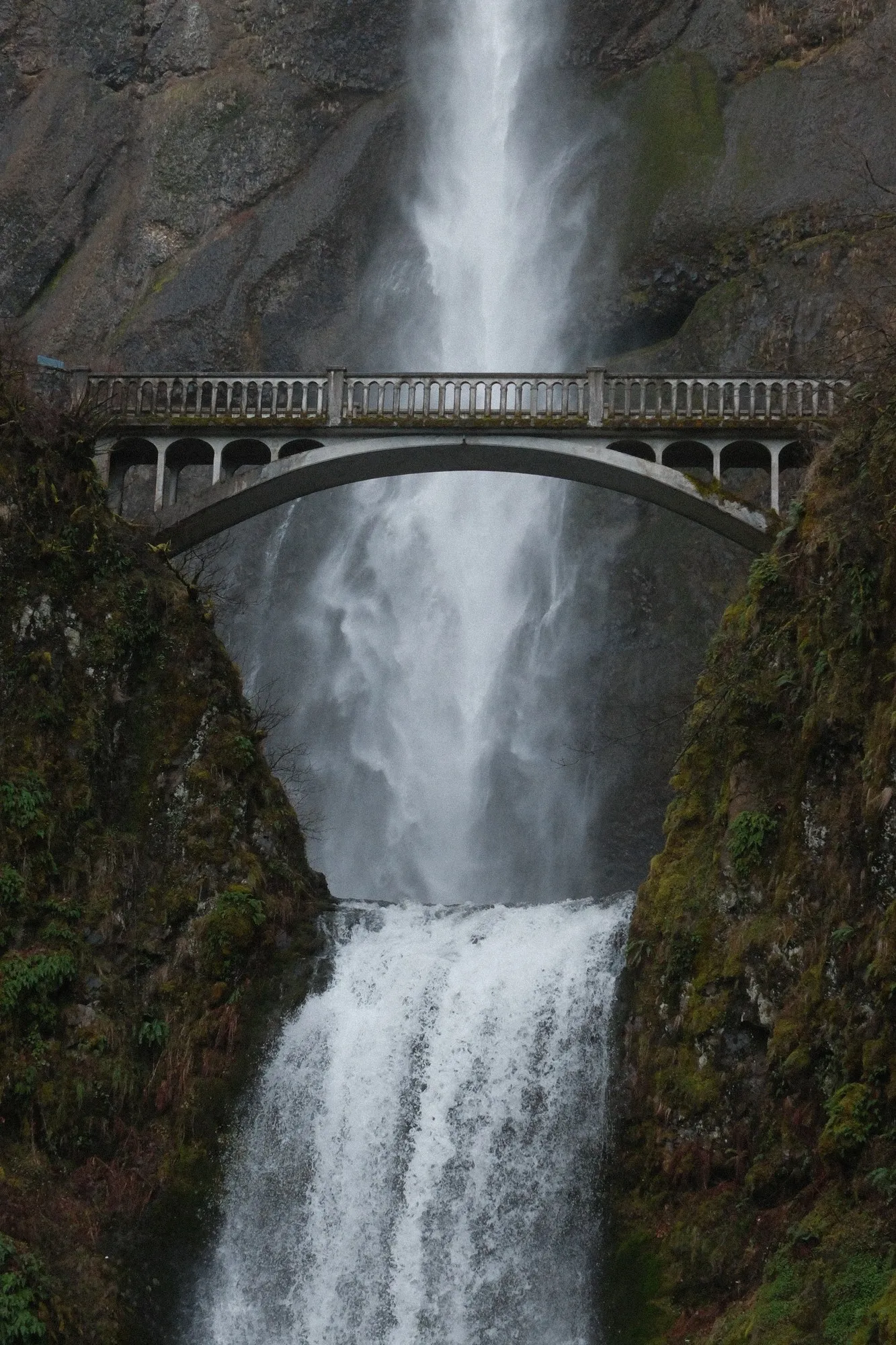 Pacific Northwest